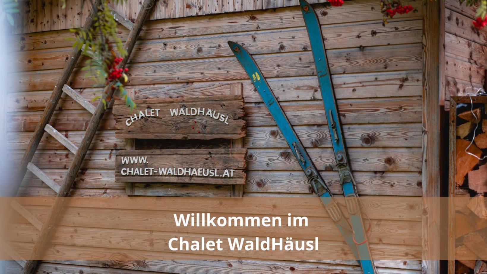 Chalet Waldhaeusl Luxurioese Ferienwohnungen Mit Sauna & Whirlpool, Kamin, Balkon Oder Terrasse Mit Bergblick Heiligenblut Dış mekan fotoğraf